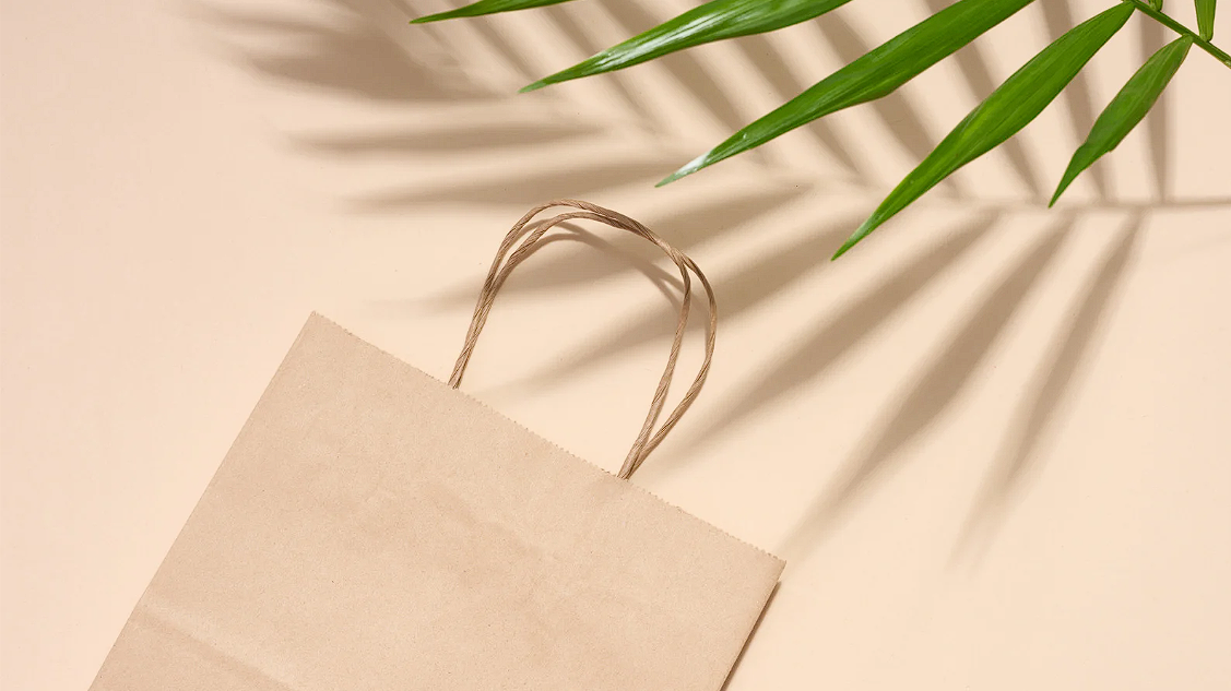 Paper Bags with Handles