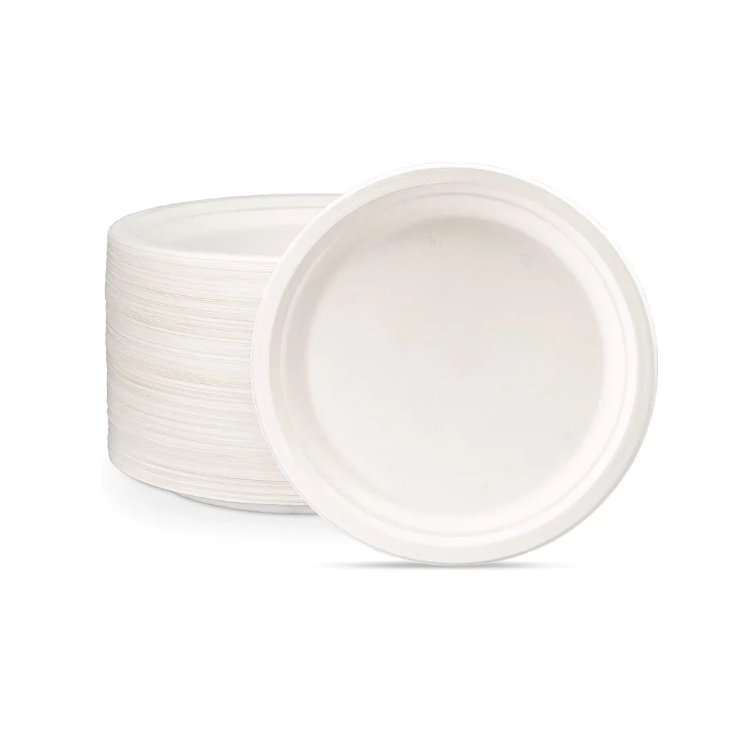 6 inch Plate
